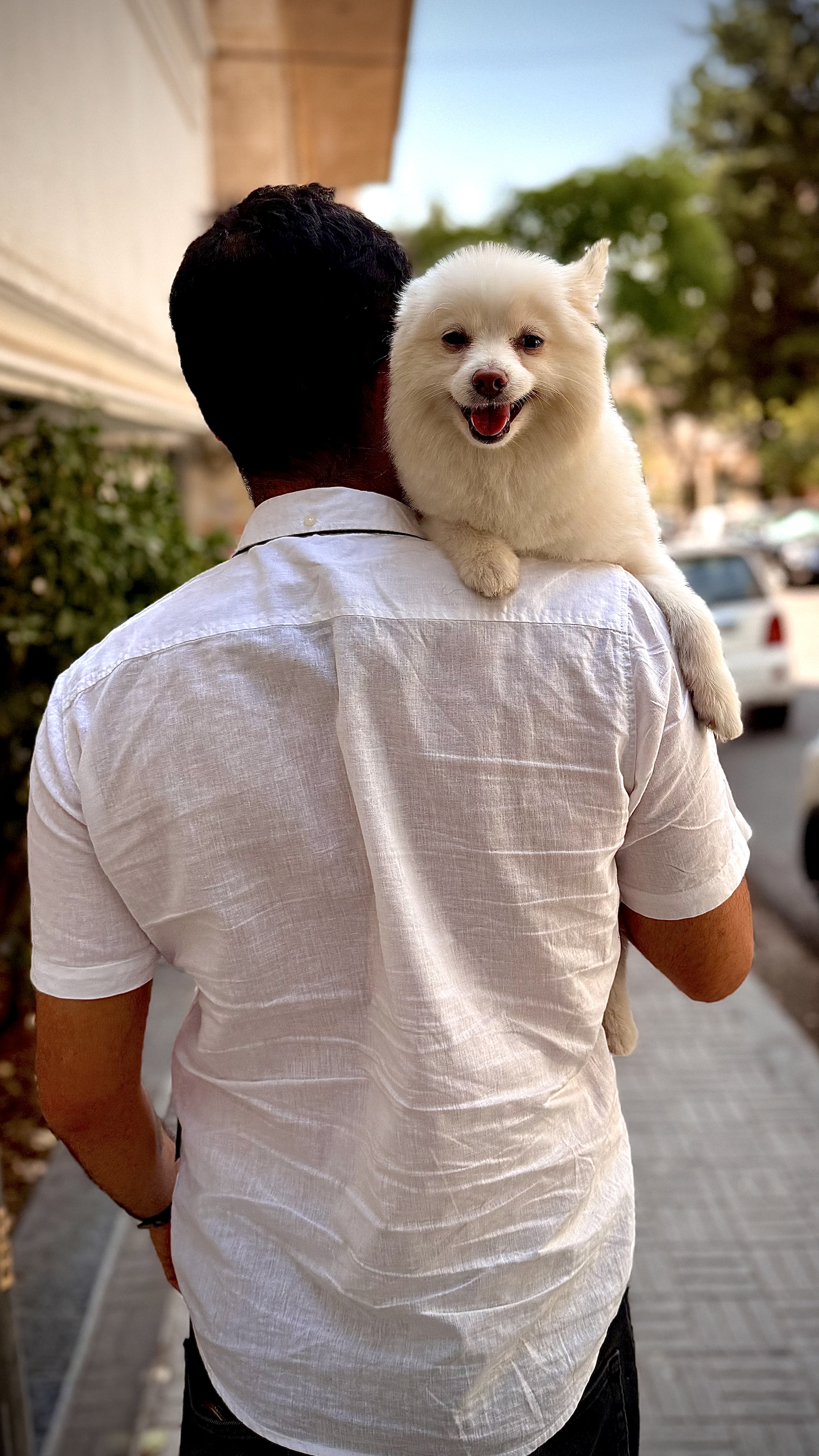 تصویر بگ گراند پروفایل علی اکبر پوراکبری